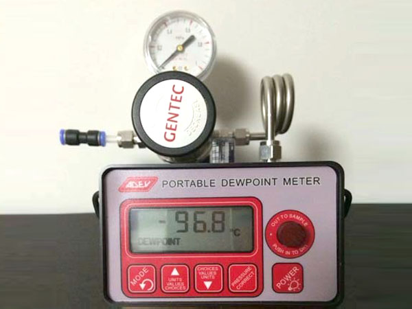 DP4500便携式露点仪